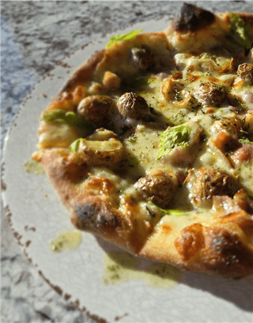 l0jkv0sxw4w34y4jcmplysut20241011